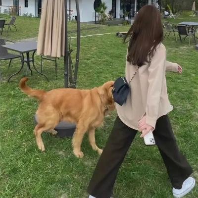 不可无礼